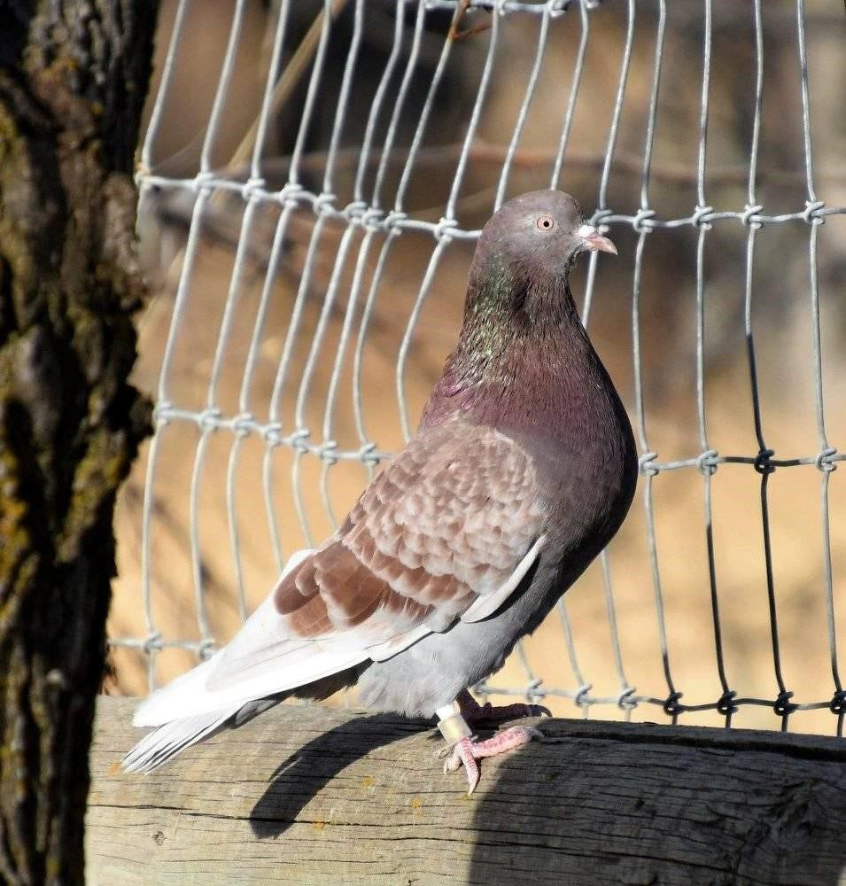 A large wooden building with two windows and a door.