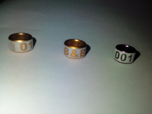 Metal Rolled laser engraved Bands 1212-2