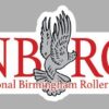 A sticker of an eagle with the words national birmingham roller rink written underneath.