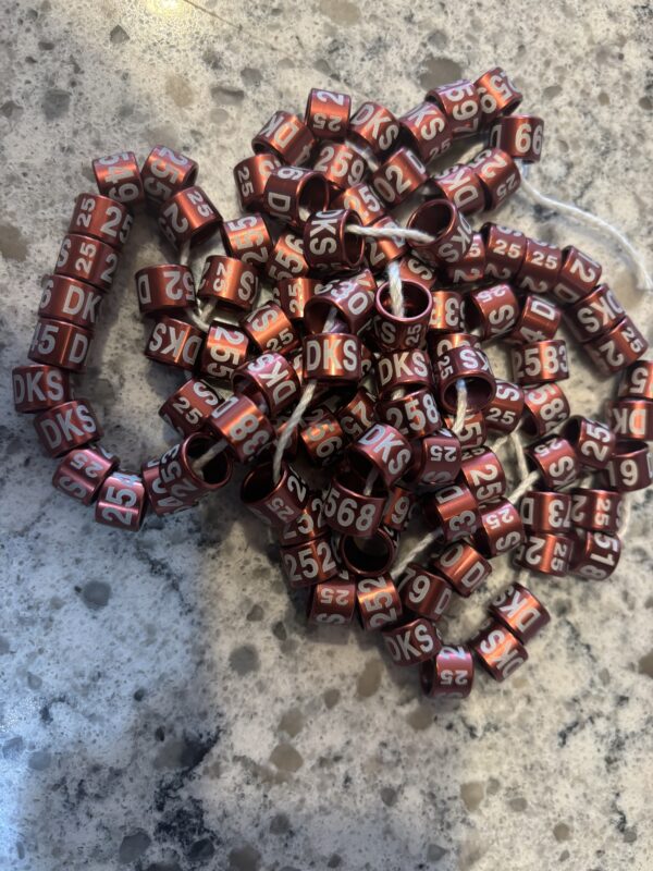 A pile of dice sitting on top of the ground.