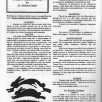 Pigeon-Health-1-775x1024