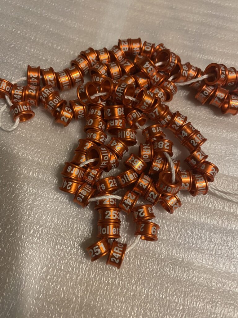 A bunch of brown beads are laying on the floor