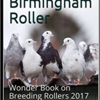 A book cover with pigeons in the background.