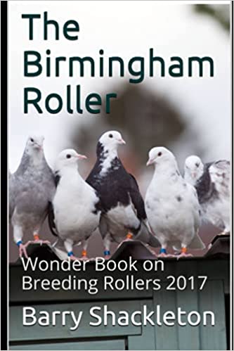 A book cover with pigeons in the background.