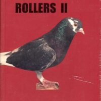 A black and white pigeon sitting on top of a book.