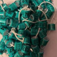 A pile of green plastic tags sitting on top of each other.|