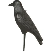 Crow decoys