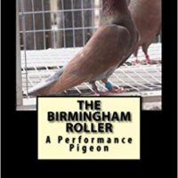 The Birmingham Roller A Performance Pigeon By Dave Henderson
