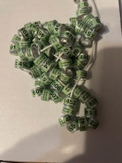 A bunch of green beads are laying on the table|A long necklace of yellow and white beads.