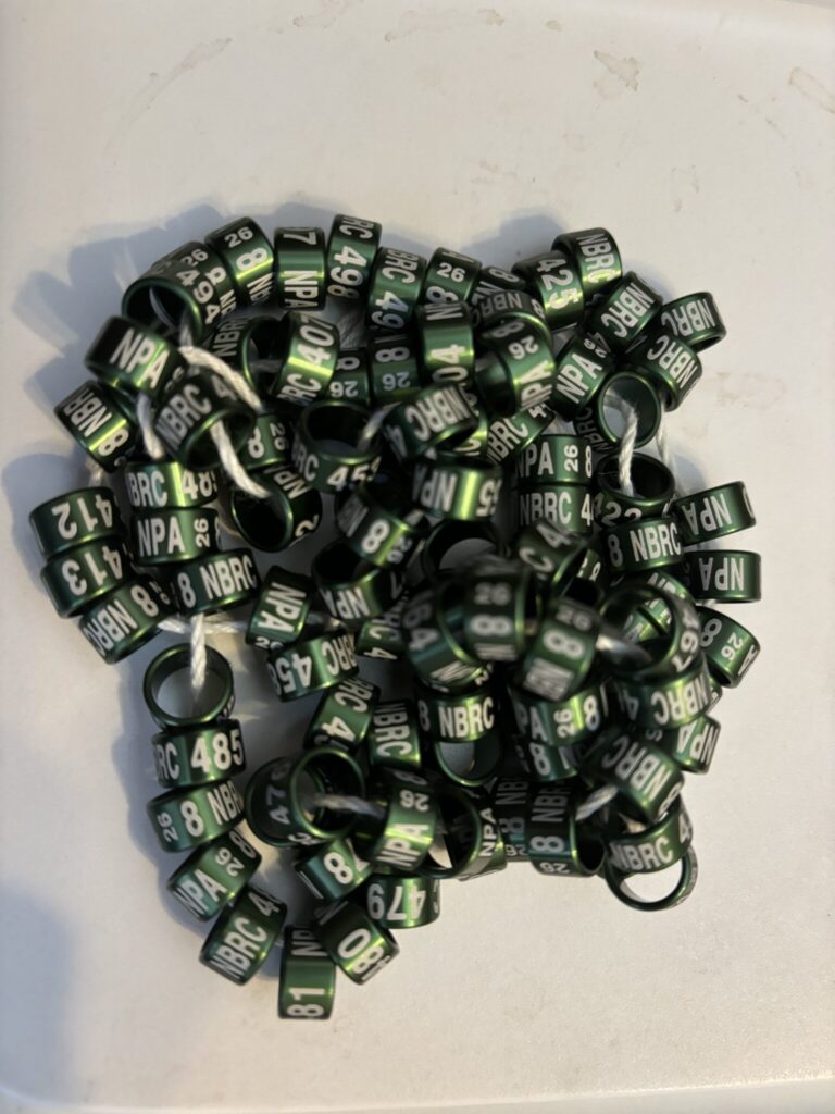 |A close up of a necklace with brown beads