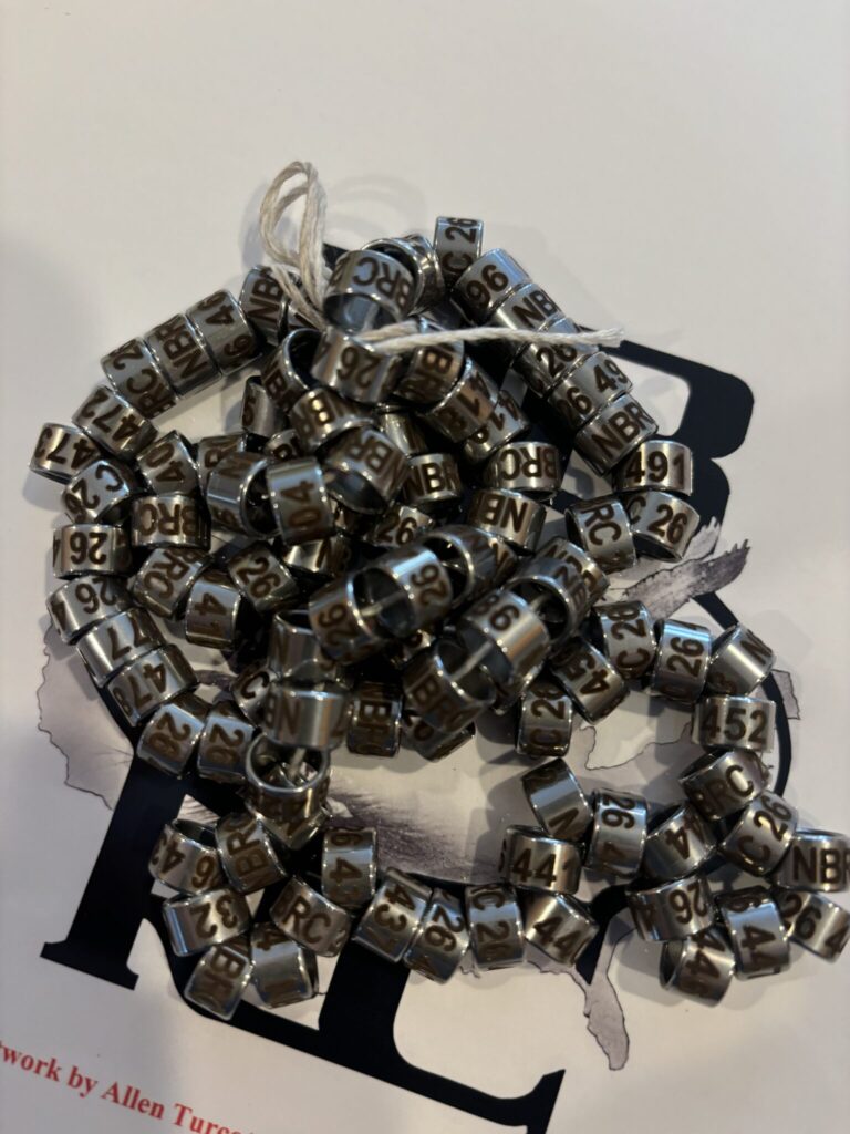 ||A string of silver beads on top of a table.