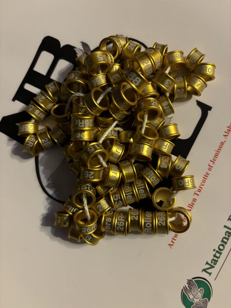 ||A string of beads with numbers on them.|A pile of purple beads sitting on top of a table.|