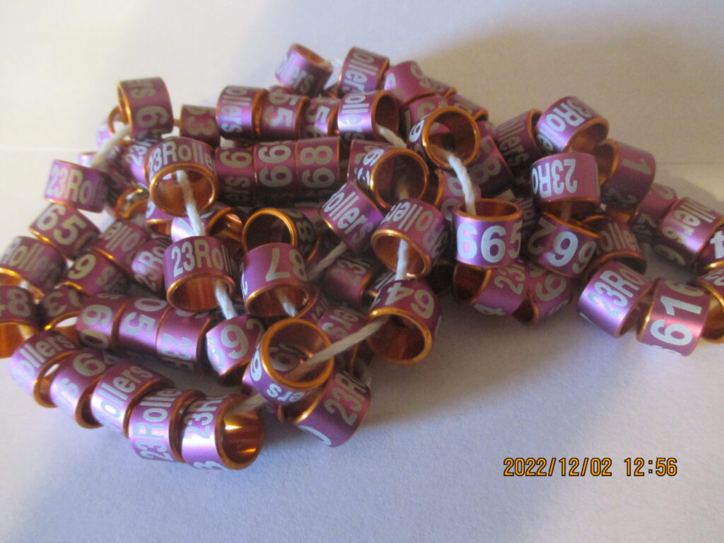 A pile of purple beads sitting on top of a table.