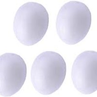 6 Dummy Pigeon Eggs