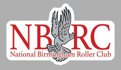 A sticker of an eagle with the words national birmingham roller rink written underneath.|A bird flying over the words " umbroc ".