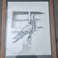 Region 1D Auction- Anthony Ashley signed and numbered drawing